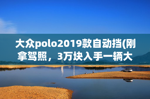 大众polo2019款自动挡(刚拿驾照，3万块入手一辆大众Polo真过瘾！检测后却笑不出来)