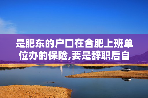 是肥东的户口在合肥上班单位办的保险,要是辞职后自己怎么继续交养老保险？