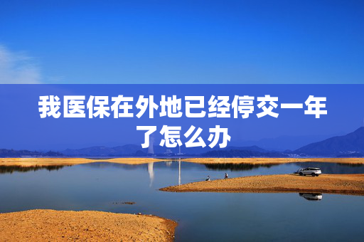 我医保在外地已经停交一年了怎么办