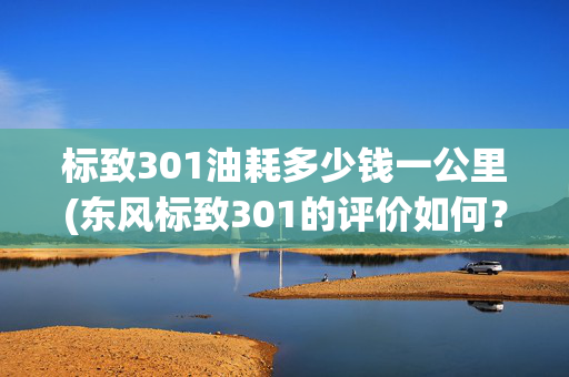 标致301油耗多少钱一公里(东风标致301的评价如何？)