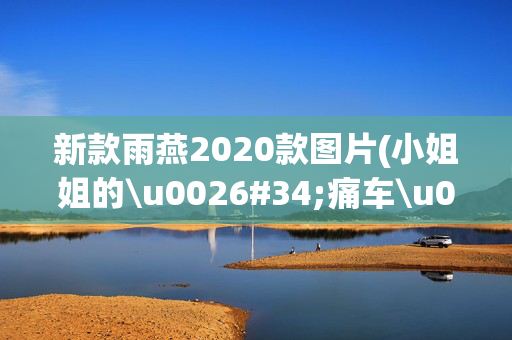 新款雨燕2020款图片(小姐姐的\u0026#34;痛车\u0026#34;铃木雨燕，妹子玩起车来也能很精品)