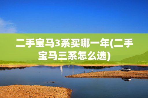 二手宝马3系买哪一年(二手宝马三系怎么选)