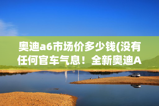 奥迪a6市场价多少钱(没有任何官车气息！全新奥迪A6正式发布！)