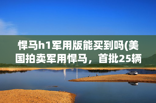 悍马h1军用版能买到吗(美国拍卖军用悍马，首批25辆已被抢购！)