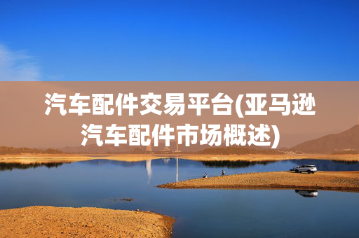 汽车配件交易平台(亚马逊汽车配件市场概述)