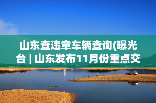 山东查违章车辆查询(曝光台 | 山东发布11月份重点交通违法企业、车辆及驾驶人名单)