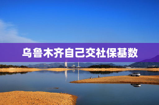 乌鲁木齐自己交社保基数