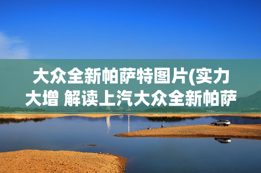 大众全新帕萨特图片(实力大增 解读上汽大众全新帕萨特)