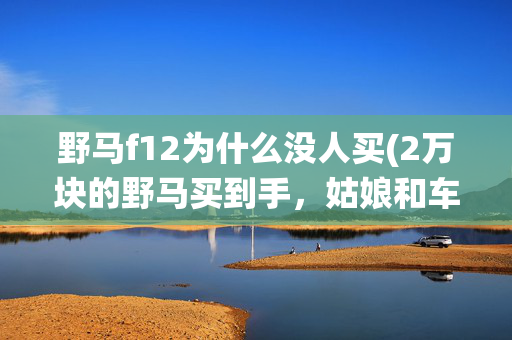 野马f12为什么没人买(2万块的野马买到手，姑娘和车贩子都绕着我走)