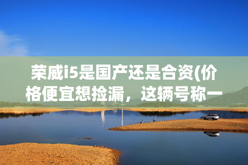 荣威i5是国产还是合资(价格便宜想捡漏，这辆号称一年两箱油的荣威i5，让年轻粉丝成长了)