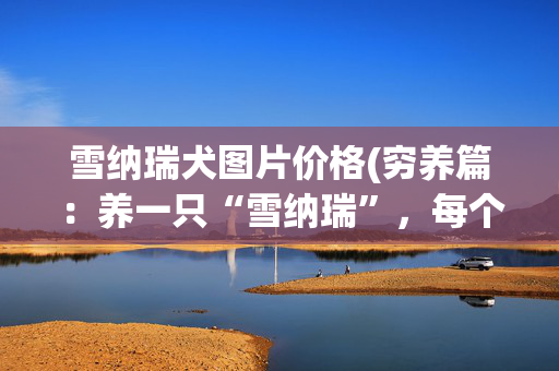 雪纳瑞犬图片价格(穷养篇：养一只“雪纳瑞”，每个月要花多少钱？)