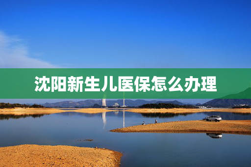 沈阳新生儿医保怎么办理