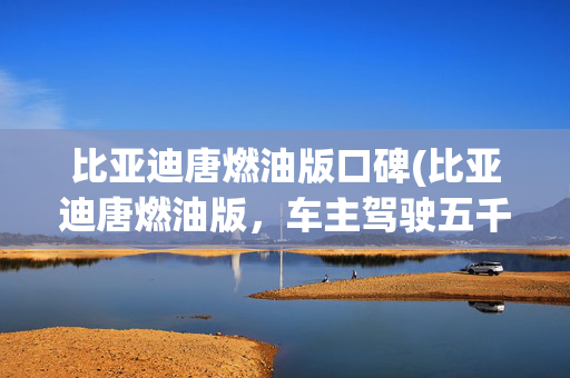 比亚迪唐燃油版口碑(比亚迪唐燃油版，车主驾驶五千公里用车感受)