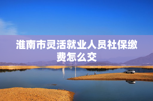 淮南市灵活就业人员社保缴费怎么交