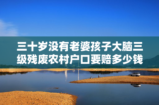 三十岁没有老婆孩子大脑三级残废农村户口要赔多少钱