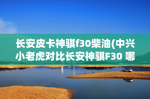 长安皮卡神骐f30柴油(中兴小老虎对比长安神骐F30 哪款车性价比更高？)