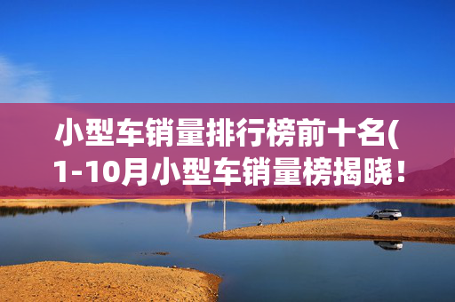 小型车销量排行榜前十名(1-10月小型车销量榜揭晓！海鸥夺冠/海豚腰斩，新飞度跌72%)