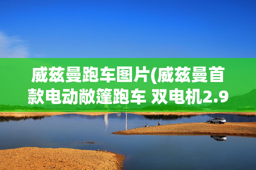 威兹曼跑车图片(威兹曼首款电动敞篷跑车 双电机2.9秒破百)