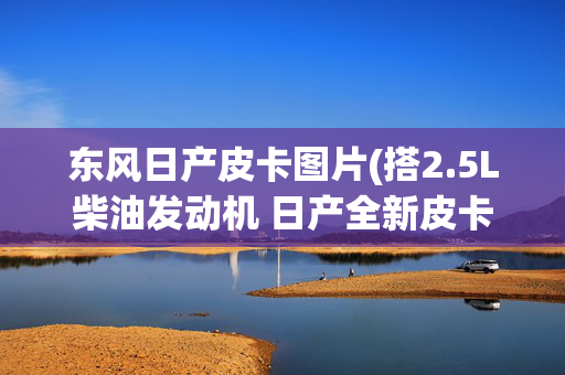 东风日产皮卡图片(搭2.5L柴油发动机 日产全新皮卡实车图)