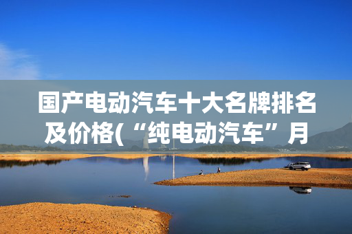 国产电动汽车十大名牌排名及价格(“纯电动汽车”月排名：元PLUS第9，小米SU7第4，冠军再破3万台)