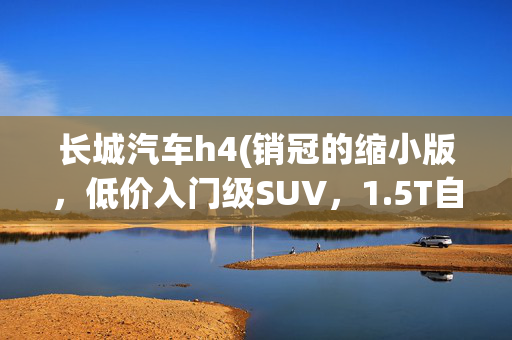 长城汽车h4(销冠的缩小版，低价入门级SUV，1.5T自动挡高品质，带你看哈弗H4)