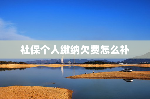 社保个人缴纳欠费怎么补