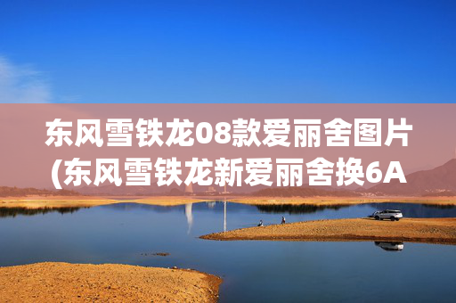 东风雪铁龙08款爱丽舍图片(东风雪铁龙新爱丽舍换6AT上市)