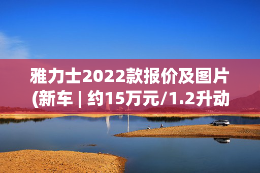 雅力士2022款报价及图片(新车 | 约15万元/1.2升动力/小型车，丰田威驰特别版实车亮相)