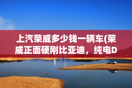 上汽荣威多少钱一辆车(荣威正面硬刚比亚迪，纯电D6最低7.98万起，定位A+级，经济又大气)