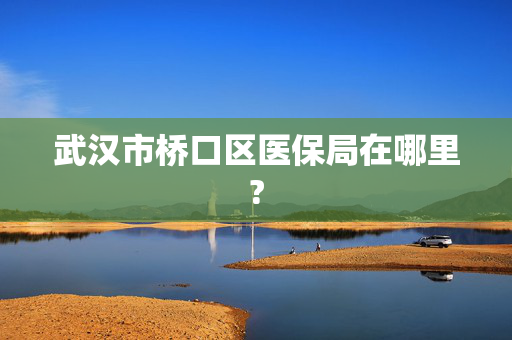 武汉市桥口区医保局在哪里?