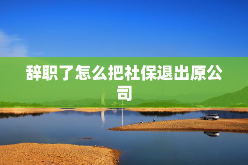 辞职了怎么把社保退出原公司