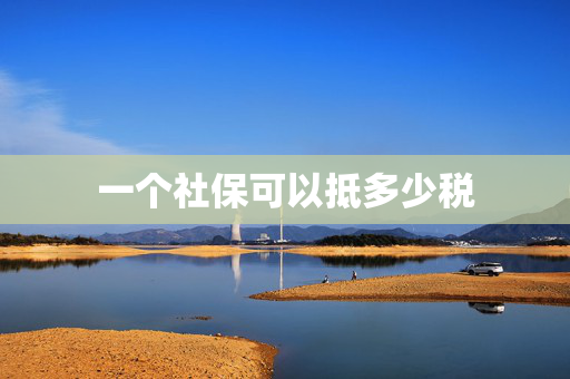 一个社保可以抵多少税