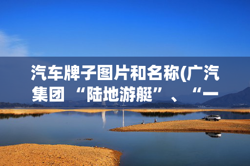 汽车牌子图片和名称(广汽集团 “陆地游艇”、“一品麒麟”脸霸气大7座！就等新车了！)