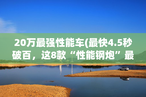 20万最强性能车(最快4.5秒破百，这8款“性能钢炮”最低20多万起，玩车的都眼馋)