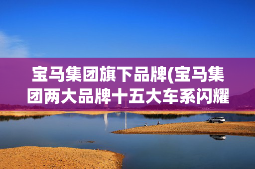宝马集团旗下品牌(宝马集团两大品牌十五大车系闪耀北京国际车展)