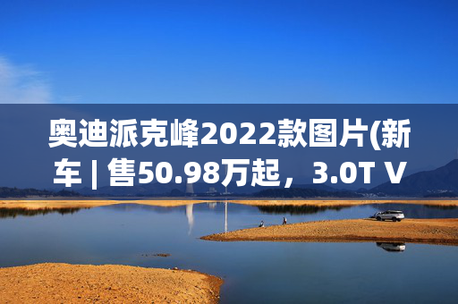 奥迪派克峰2022款图片(新车 | 售50.98万起，3.0T V6动力/奥迪Q7同级，新款林肯飞行家上市)
