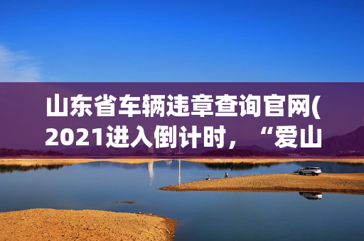 山东省车辆违章查询官网(2021进入倒计时，“爱山东”的这些服务您办了吗？)