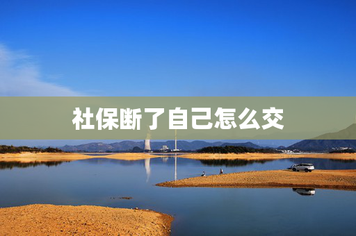 社保断了自己怎么交