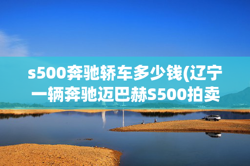 s500奔驰轿车多少钱(辽宁一辆奔驰迈巴赫S500拍卖，被人3.8万就拍下，赚翻了？)