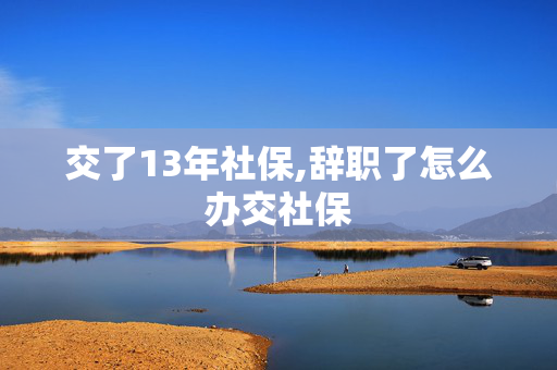 交了13年社保,辞职了怎么办交社保