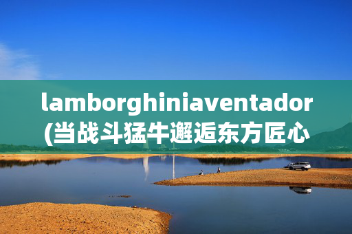 lamborghiniaventador(当战斗猛牛邂逅东方匠心 丨 CMST Lamborghini Aventador LP700)
