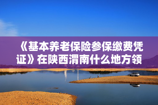 《基本养老保险参保缴费凭证》在陕西渭南什么地方领取