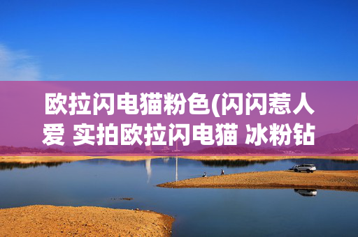欧拉闪电猫粉色(闪闪惹人爱 实拍欧拉闪电猫 冰粉钻)