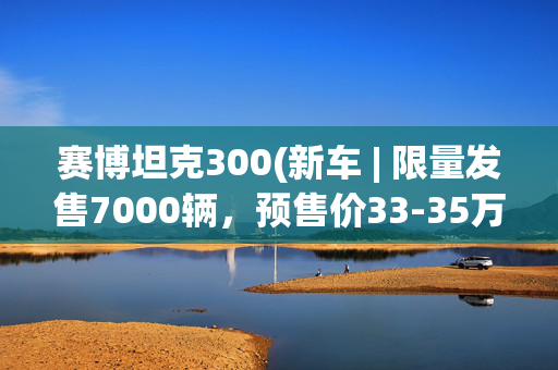赛博坦克300(新车 | 限量发售7000辆，预售价33-35万元，坦克300赛博骑士实车)