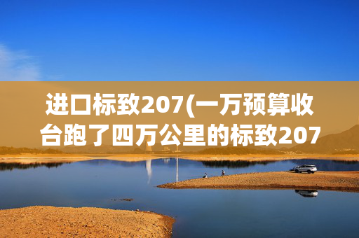 进口标致207(一万预算收台跑了四万公里的标致207，操控好油耗又低，真香！)