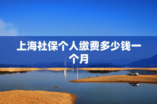 上海社保个人缴费多少钱一个月