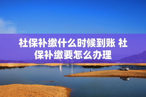 社保补缴什么时候到账 社保补缴要怎么办理
