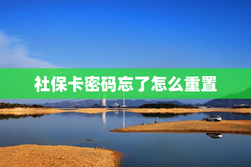 社保卡密码忘了怎么重置