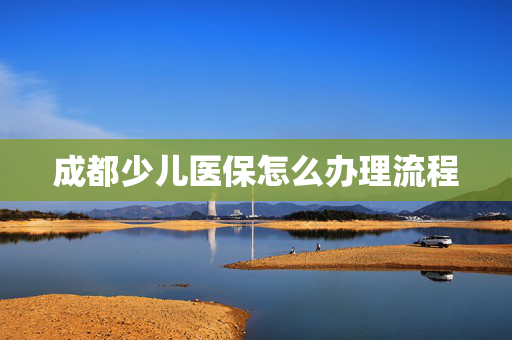 成都少儿医保怎么办理流程