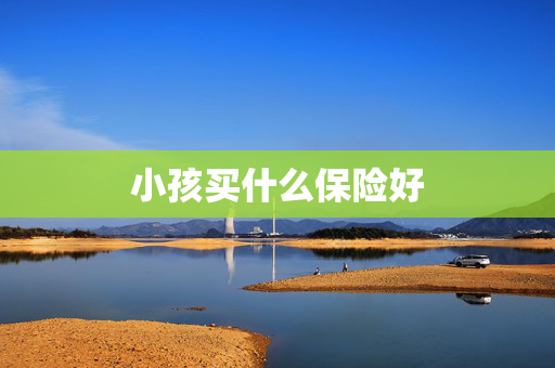 小孩买什么保险好